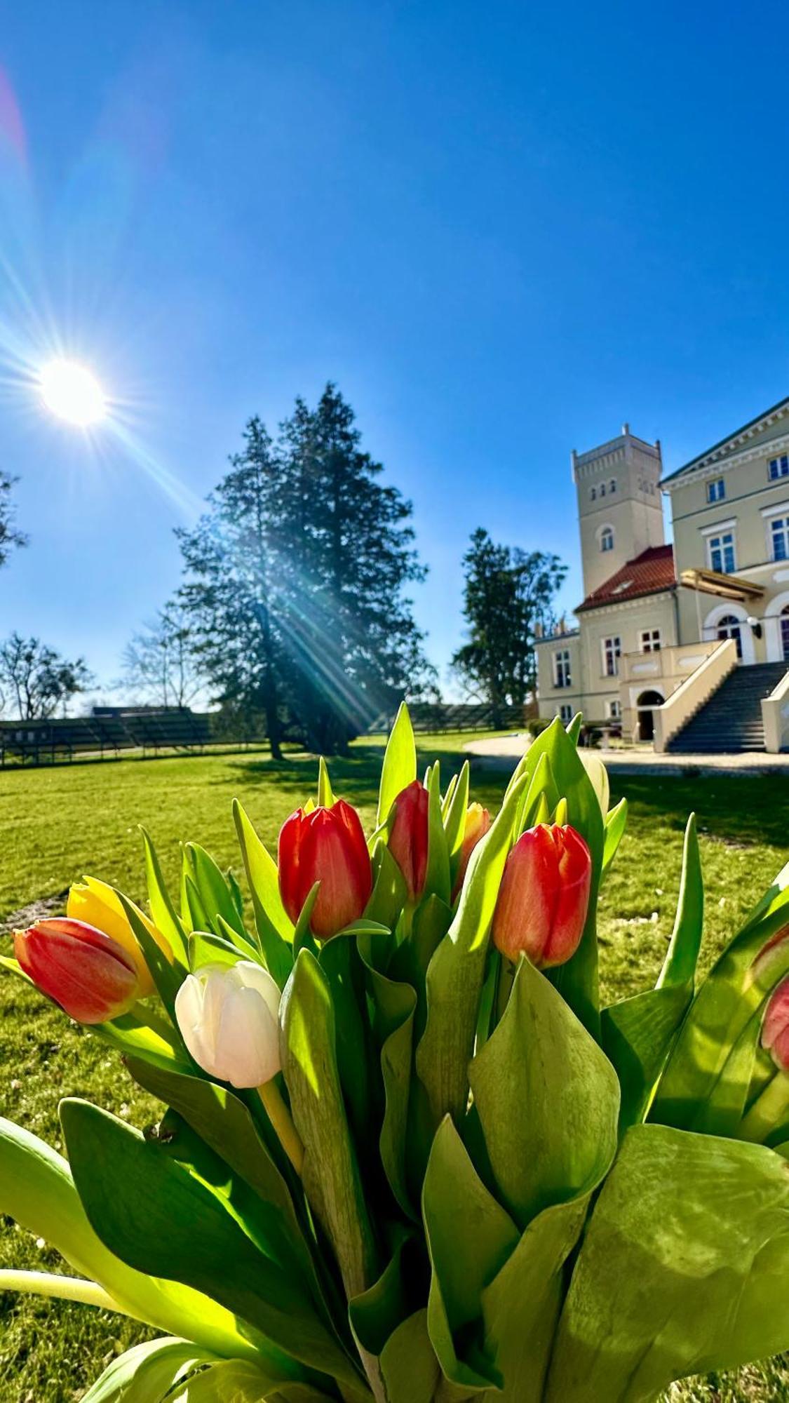 Hotel Spa Wieniawa Rekowo  Buitenkant foto